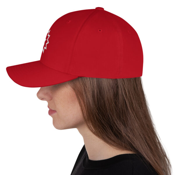 JUNETEENTH Structured Twill Cap - Image 15